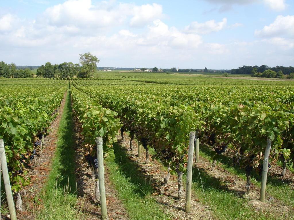 Chateau Beau Jardin Hotel Gaillan-en-Medoc Ngoại thất bức ảnh